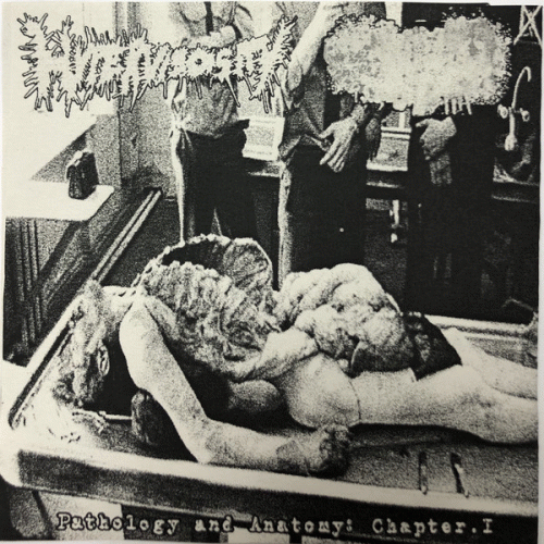 Blenncardichromodacryexgenitohaemgene : Pathology and Anatomy: Chapter. 1